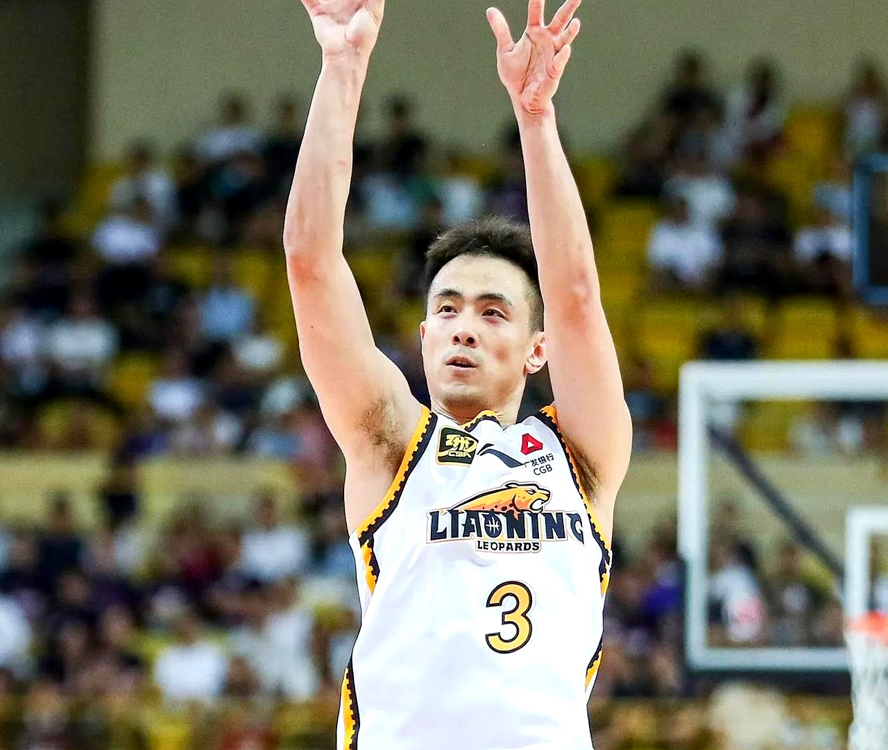 新疆队险胜魔术，赵继伟高光表现的简单介绍