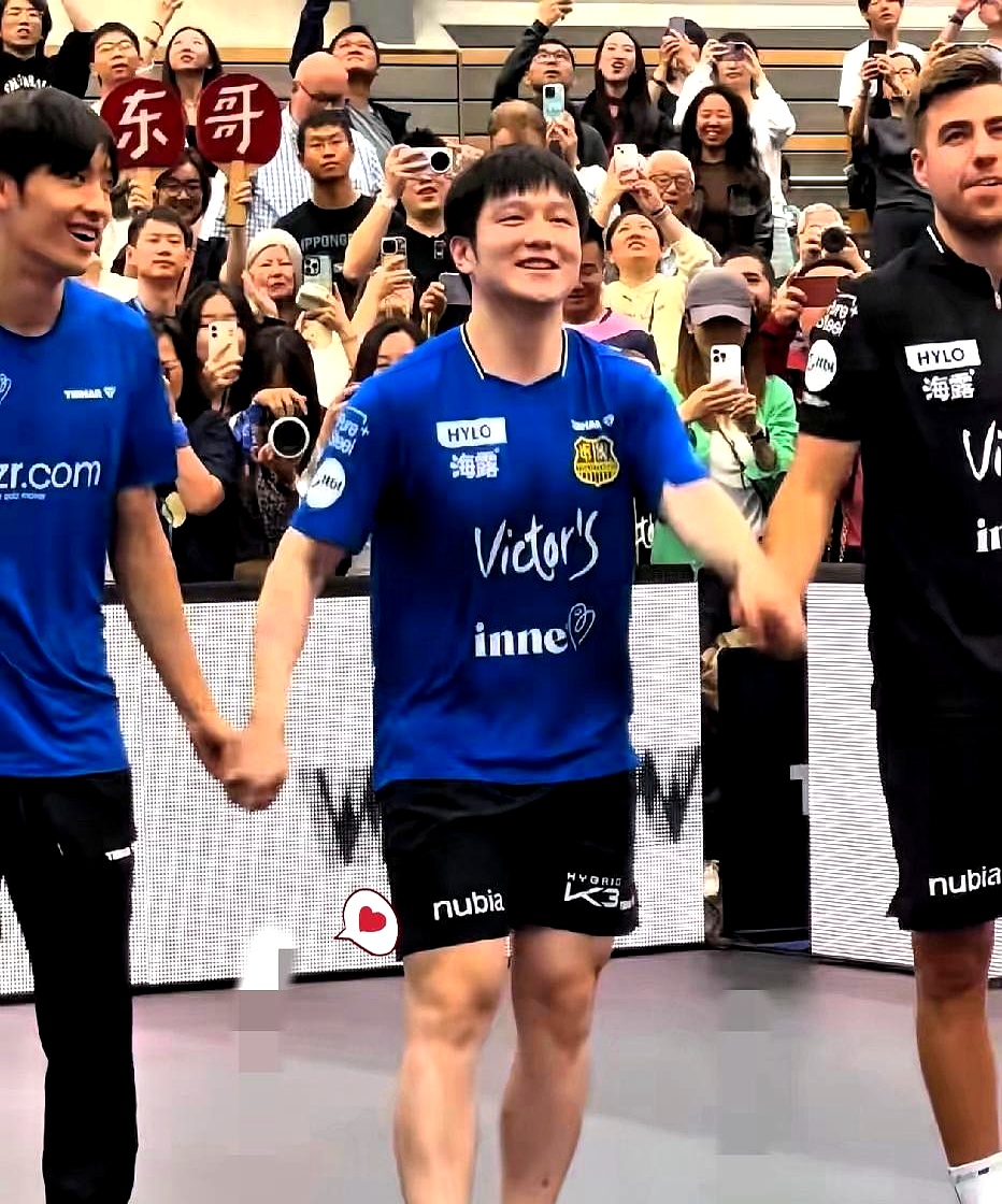 瑞典队碾压葡萄牙队,樊振东关键制胜 瑞典队碾压葡萄牙队,樊振东关键制胜